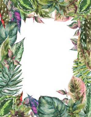 Suluboya botanik yeşil yapraklar dikey çerçeve, egzotik doğal bitki örtüsü beyaz arka planda izole. El boyası yeşillik tasarım koleksiyonu.