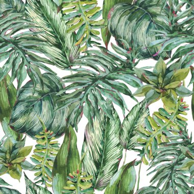 Suluboya yeşillik pürüzsüz desen, egzotik tropikal yapraklar, beyaz arka planda doğal çiçek dokusu. El boyaması duvar kağıdı..