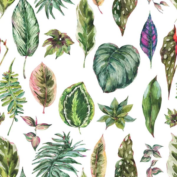 Watercolor Botanical Tropical Leaves Seamless Pattern Exotic Natural Floral Texture — Stock Photo, Image