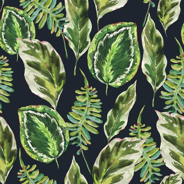 水彩斑斓的绿色无缝图案 奇异的热带树叶 黑色背景上自然的植物质感 手绘设计墙纸 — 图库照片