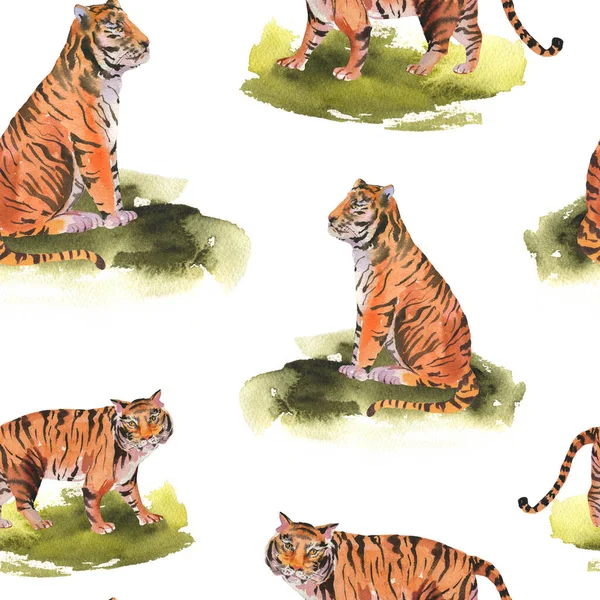 Watercolor Tiger Seamless Pattern White Background 동물의 생태적 손으로 빈티지 — 스톡 사진