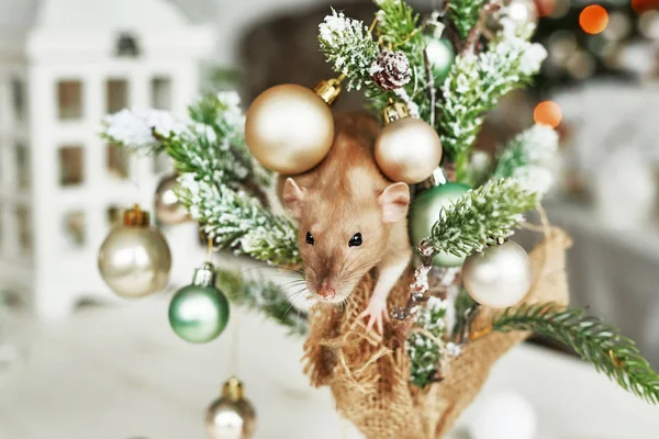 Rata de Navidad Símbolo del nuevo año 2020. Año de la rata. Año Nuevo chino 2020. Juguetes de Navidad, bokeh. Rata en el fondo de las decoraciones navideñas. Plantilla de tarjeta de felicitación de Navidad - año nuevo — Foto de Stock