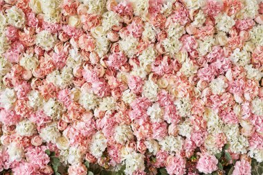 Çiçeklerin üzerinde narin güller ve ortancalar açan yaz çiçekleri şenlikli arka plan, pastel ve çiçekli çiçek kartı. Bahar tebrik kartı şablonu. Uzayı kopyala Düğün sahnesi. Anneler Günü, kadın kartı..