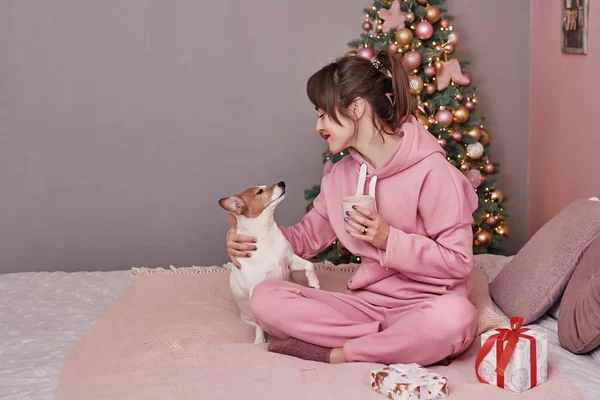 Menina Com Cão Jack Russell Terrier Fundo Natal Modelo Cartão — Fotografia de Stock