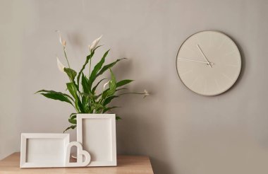 Bir buket taze beyaz çiçek, duvarın önündeki rafta fotokopi alanı olan boş fotoğraf çerçeveleri. Çerçeve ve beyaz çiçeklerle süslen. Anneler Günü, Kadınlar Günü, 8 Mart, Bahar tebrik kartı şablonu.