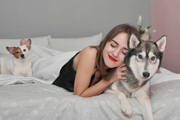 Flicka Och Hund Sängen Vacker Kvinna Pyjamas Sitter Sängen Sovrum — Stockfoto