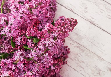 Doğum günün kutlu olsun. Merhaba bahar ve yaz. Kadınlar Günü ve Anneler Günü için tebrik kartı. Bahar mevsimi, kopyalama alanı. Mor leylak, makro, bahar çiçekli bitkinin detaylı fotoğrafları..