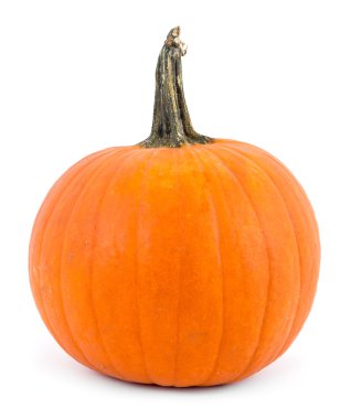 perfect pumpkin over white clipart