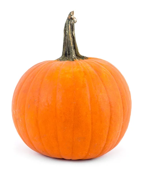 Perfect pumpkin over white — Stock Photo, Image