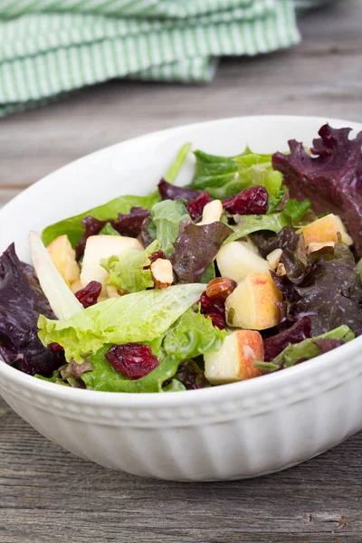 Mix di insalata di mirtilli rossi e noci — Foto Stock