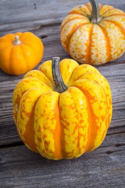 Carnival squash rustik ahşap zemin üzerine