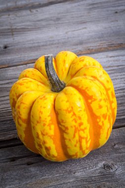 Carnival squash rustik ahşap zemin üzerine