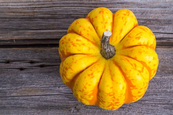 Carnival squash on rustic wood background — Stock Photo, Image