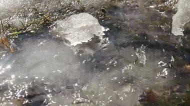 su damlası kar bahar görüntüleri closeup gerçek zamanlı erime
