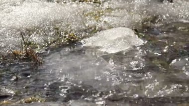 su damlası kar bahar görüntüleri closeup gerçek zamanlı erime