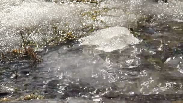 Gota de água de neve derretendo em imagens de primavera close-up em tempo real — Vídeo de Stock