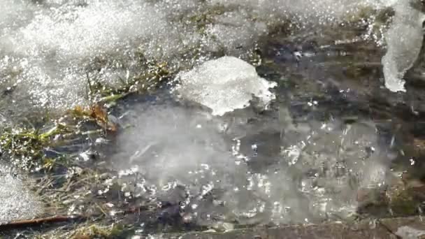 Waterdruppel sneeuw smelten bij Lente beelden close-up real-time — Stockvideo