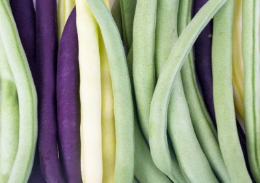 demet fasulye üç çeşitleri closeup hasat