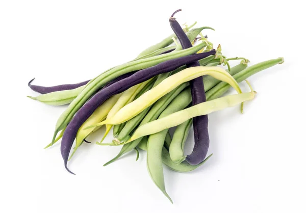 Bouquet de haricots récoltés trois variétés sur fond blanc — Photo