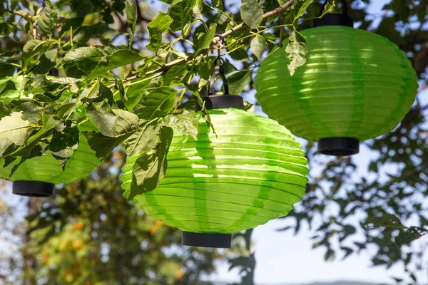 green chinese lantern ornament on a tree
