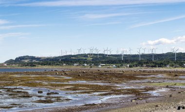 Yaz, Saint Lawrence Nehri'nin kap-Chat sahil görüntüle