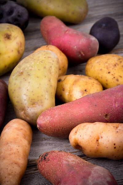 fresh organic potatoes varieties