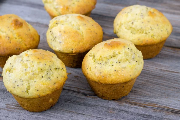 Homemade lemon poppy seed muffins — Stock Photo, Image
