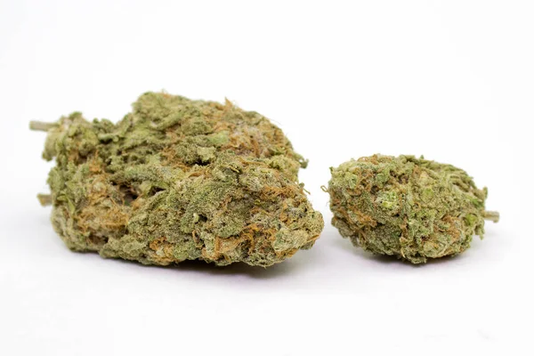 Marijuana bud white background — Stock Photo, Image