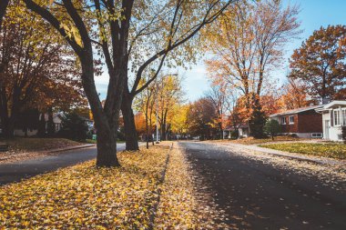 sonbahar şehir cadde manzaralı