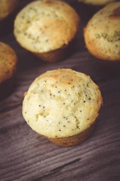 Muffins σπόρου παπαρουνών σπιτικό λεμόνι — Φωτογραφία Αρχείου