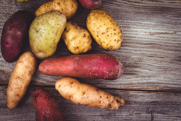 fresh organic potatoes varieties over plank rustic background
