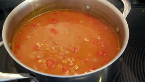 Tomato lentils and barley soup boiling — Stock Footage Tomato Lentils Barley Soup Boiling Royalty Free Stock Video
