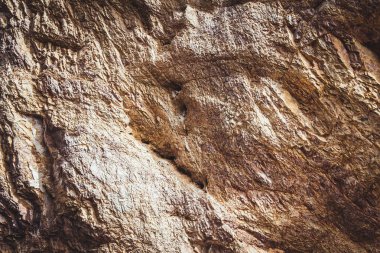 Kuş yuvası ile Rock doku arka plan