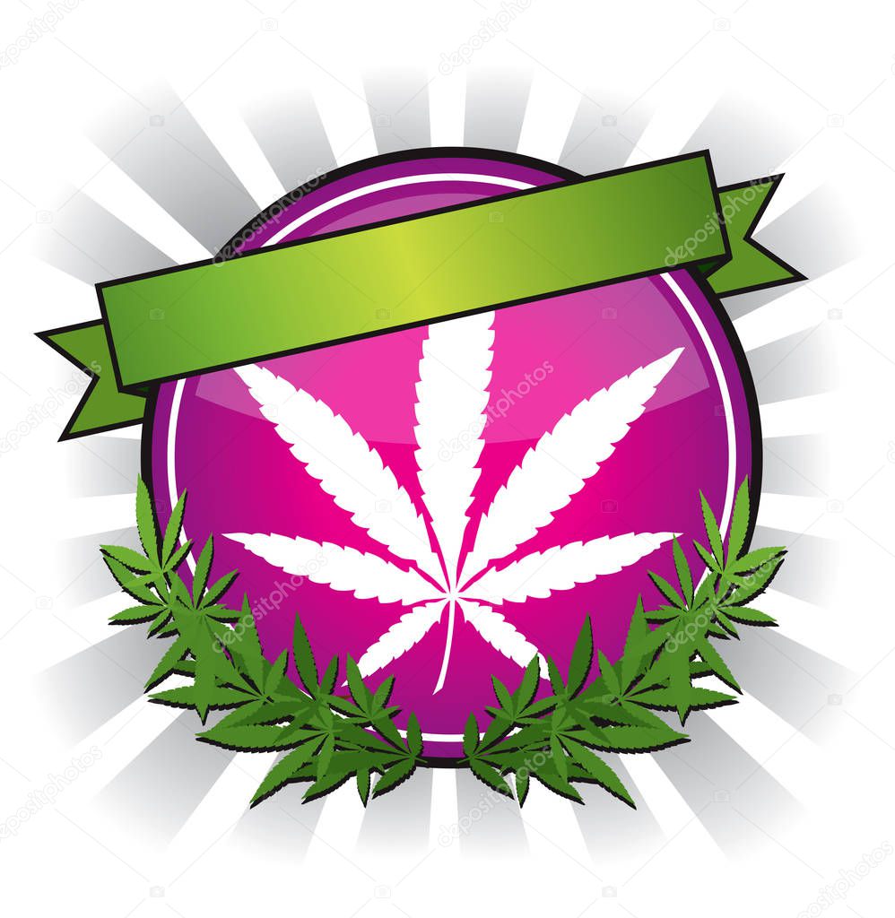 Pink Cannabis marijuana leaf Badge design vector