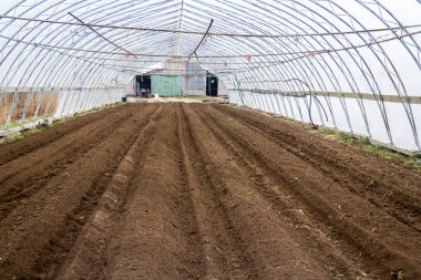 toprak satır yeşil evin içinde