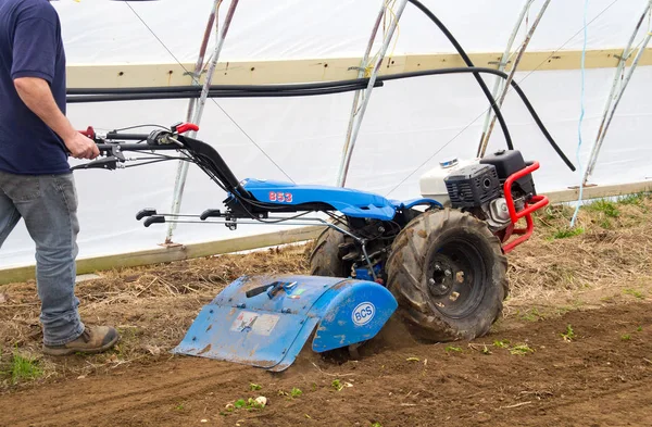 BCS 853 popular tractor unit working soil dirt inside green hous — Stock Photo, Image