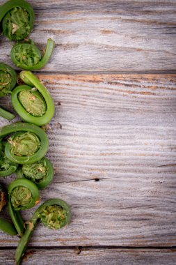 taze yenilebilir fiddlehead eğreltiotu 
