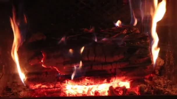 Bois Bûche Brûlant Dans Feu Dans Une Cheminée Gros Plan — Video