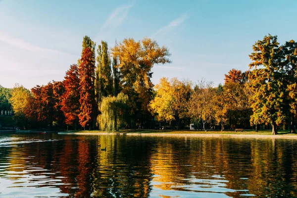 秋天季节在布加勒斯特公园风景 — 图库照片