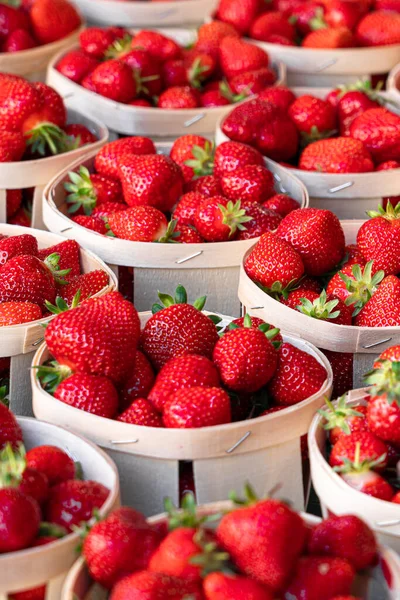 Fragole Rosse Fresche Vendita Nel Mercato Della Frutta — Foto Stock