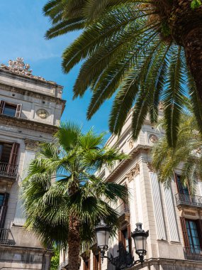 Royal Square (Placa Reial veya Plaza Real), İspanya 'nın Barcelona kentinin ünlü turist cazibesi.