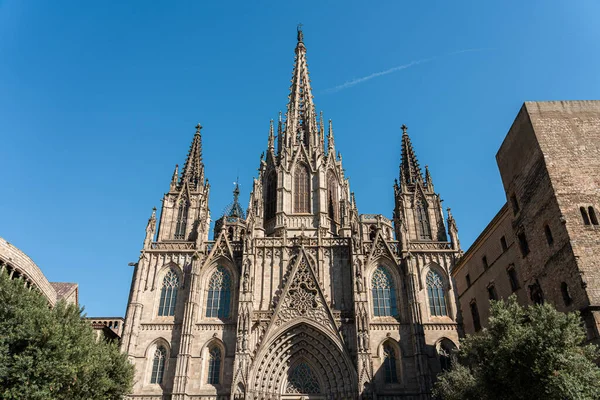 Die Kathedrale Des Heiligen Kreuzes Und Der Heiligen Eulalia Auch — Stockfoto