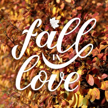 Aşk kaligrafi el harfleri ile bulanık resim üzerine düşmek 