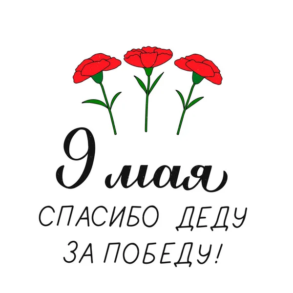 5月9日の勝利の日 キリル文字ロシア語で勝利のための祖父と手のおかげで赤いカーネーションの花を描いた タイポグラフィのポスター グリーティングカード バナー チラシのベクターテンプレート — ストックベクタ