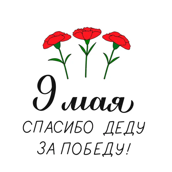승리의 일이다 문자는 러시아어의 승리에 그리고 손으로 카네이션 할아버지에게 감사를 — 스톡 벡터