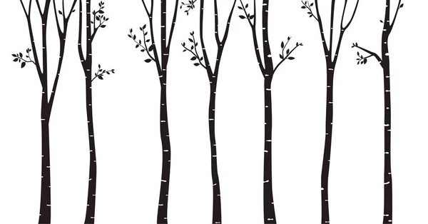 Σημύδα δέντρα σιλουέτες — Διανυσματικό Αρχείο