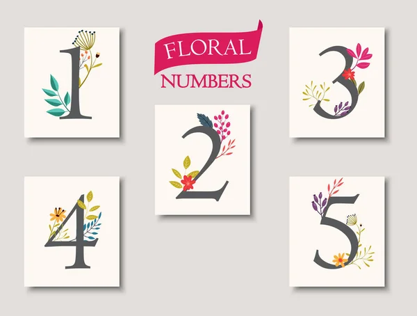 Set of floral numbers — Stock Vector