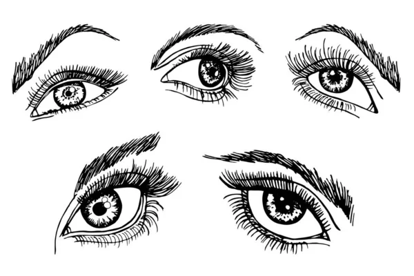 Ink Sketch Female Eyes Eyebrows Set Different Beautiful Eyes Black — Stock Vector