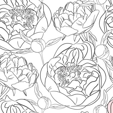 Siyah ve beyaz şakayık desenli