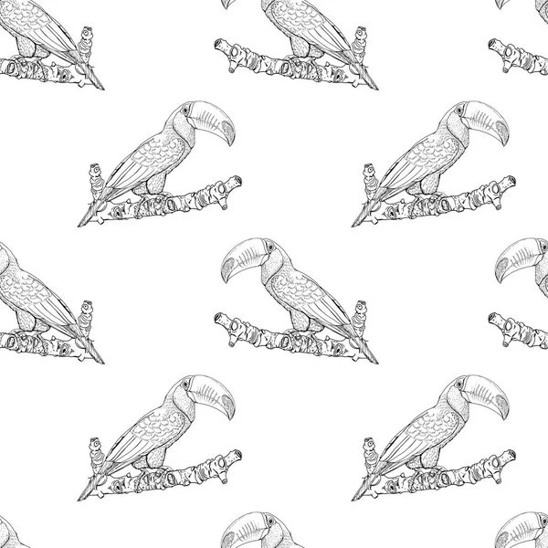 Schwarz-weißes nahtloses Muster mit Tukanen-Vögeln — Stockvektor